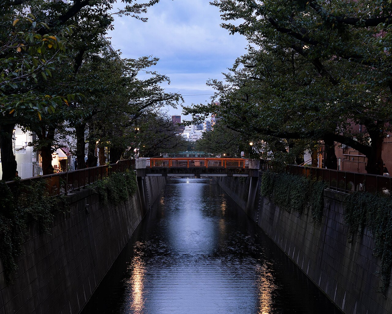 緑の葉が茂る夏の目黒川