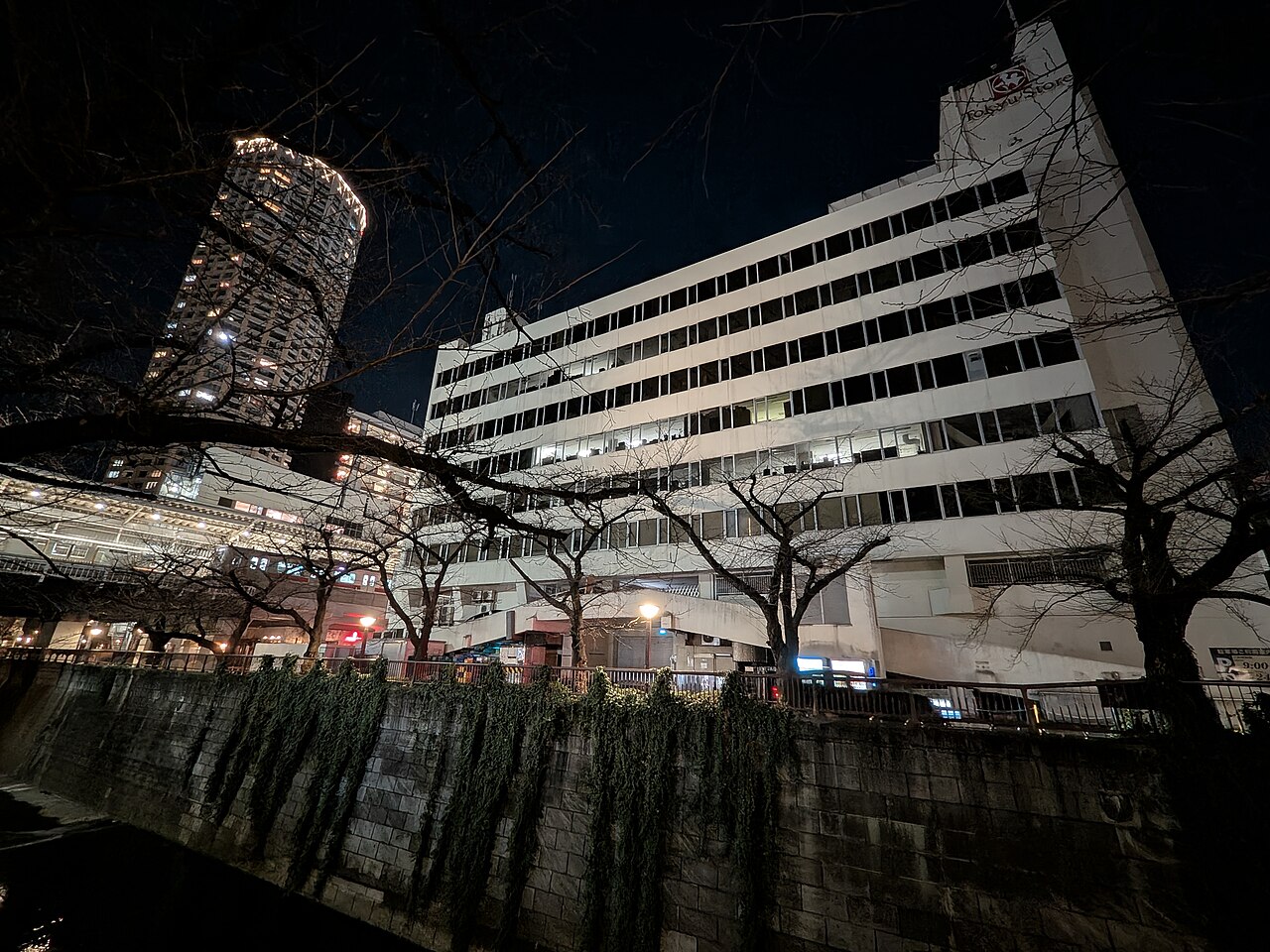 葉を落とした冬の目黒川と上目黒の建物